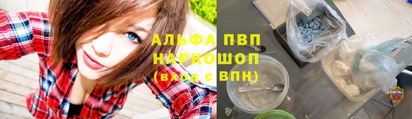 СК Магадан