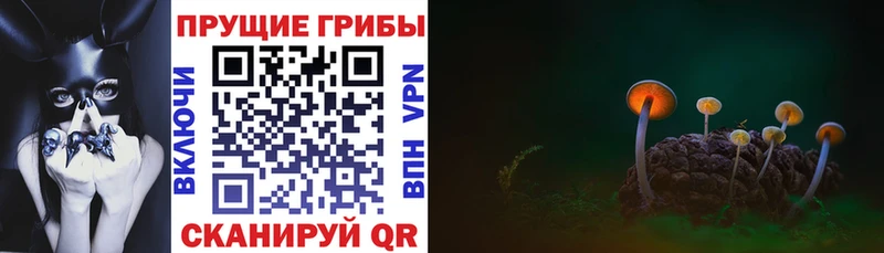 закладки гидра зеркало Псилоцибиновые грибы ЛСД Юрьев-Польский